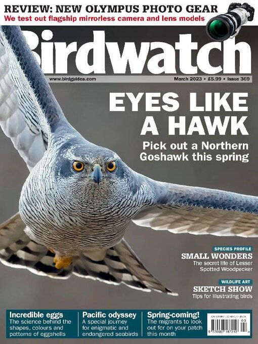 Title details for Birdwatch by Warners Group Publications Plc - Available